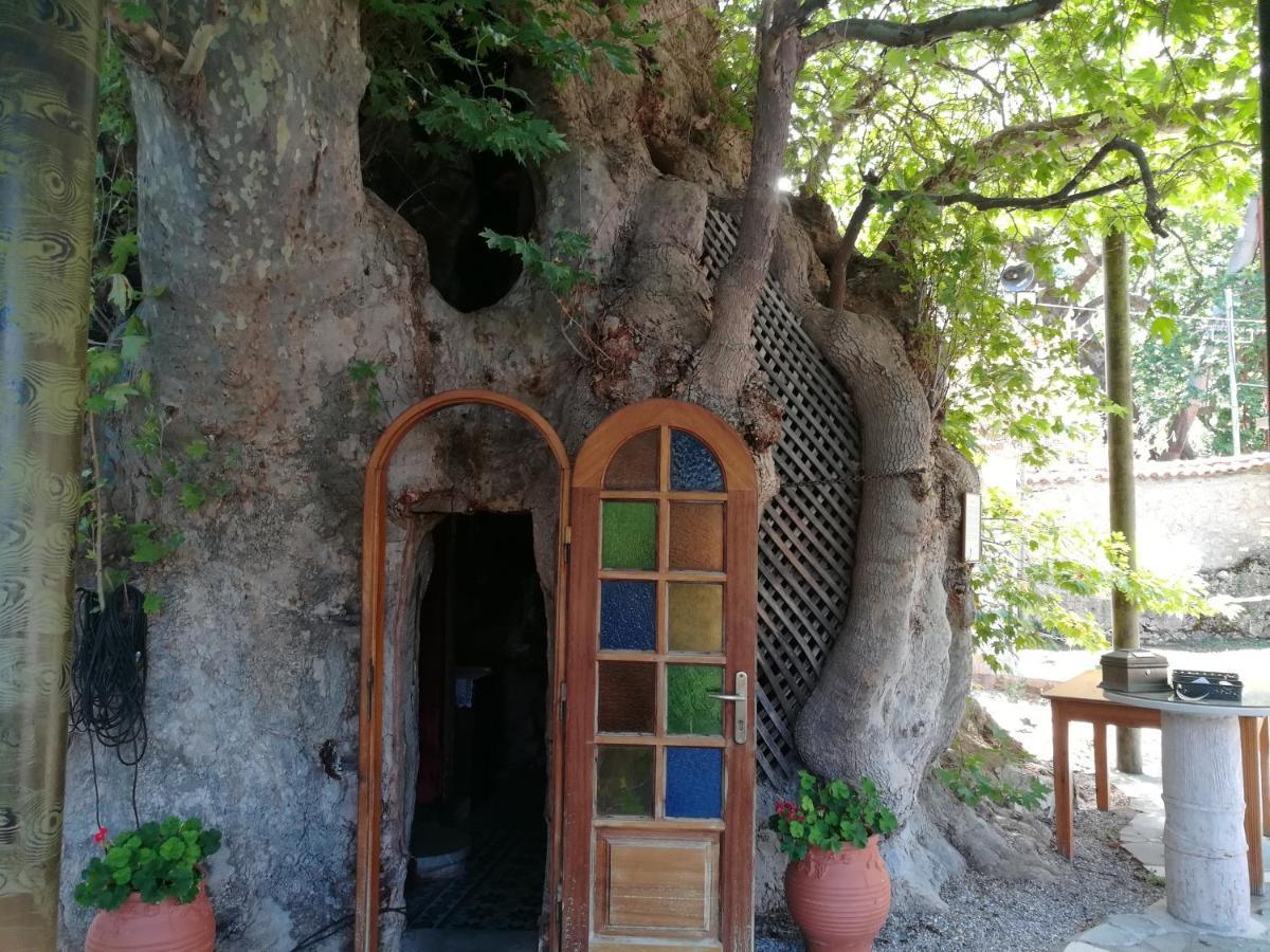 Plataniotissa Mansion Villa Kalavryta Exteriör bild
